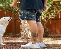 He has a small tattoo on his leg.